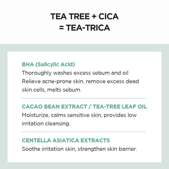 SKIN1004 Tea-Trica BHA Foam - Pro Deep Cleansing & Acne Relief Face Wash